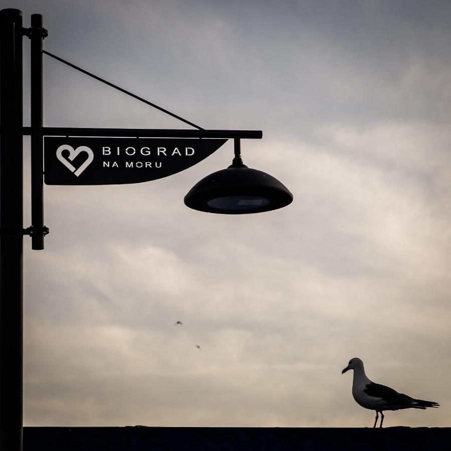 Apartmani Dina Biograd Na Moru Eksteriør bilde