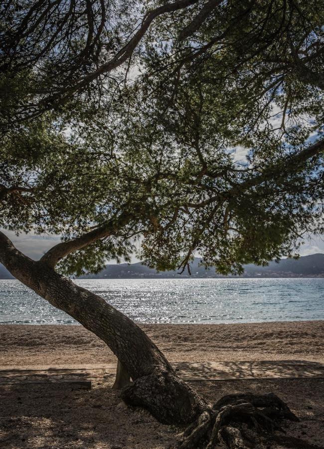 Apartmani Dina Biograd Na Moru Eksteriør bilde