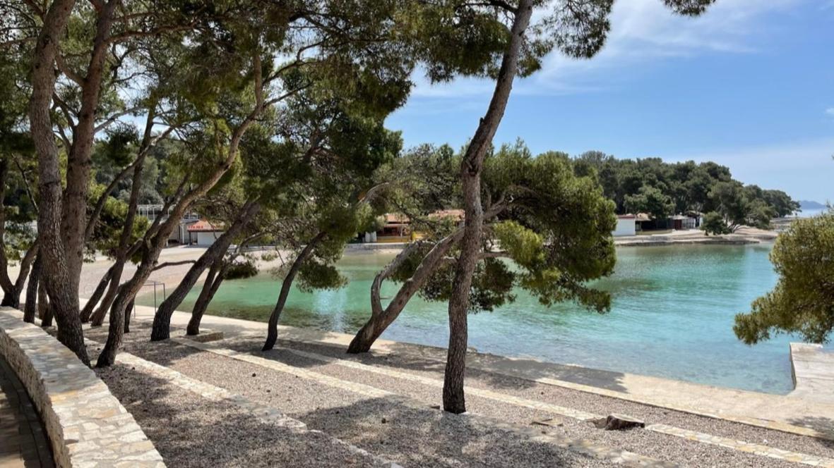Apartmani Dina Biograd Na Moru Eksteriør bilde